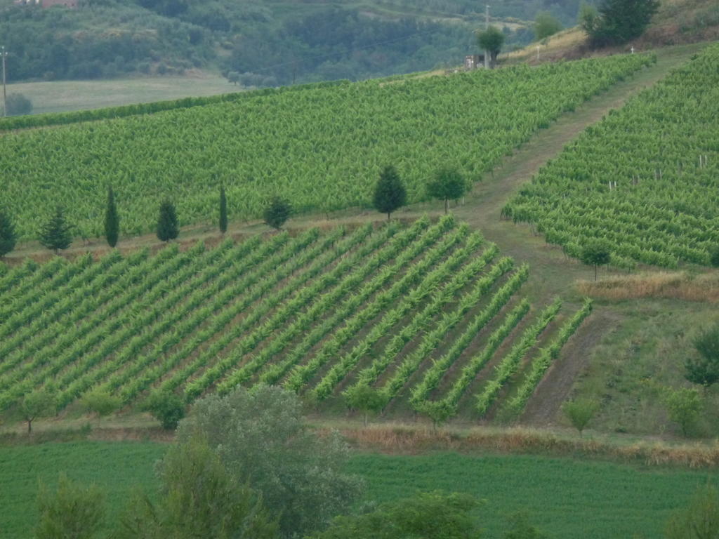 Вилла Azienda Agricola Ed Agrituristica Cafaggio Сан-Миниато Экстерьер фото